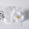 Pétalas da cabeça da flor Phalaenopsis acessórios de flor material de flor grampo de cabelo feito à mão diy decoração de adereço de cabeça material de flor