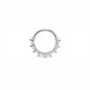 Anillo de Septum de Acero Inoxidable 316L Nuevo Estilo Transfronterizo Europeo y Americano Juego con Apertura Bisagra Joyería para Piercing Tendencia de Moda Nariz