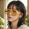 Óculos de Sol Retro Europeus e Americanos de Moda, Armação Grande, Estilo Hip-Hop Tendência Versátil, Estilo Celebridade da Internet, Proteção Solar Personalizada, Óculos de Sol Transfronteiriços