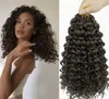 Gogo Curl Crochet Cabello Sintético Rizado para Trenzas 10 a 22 Pulgadas Ombre Afro Kinky Rizado Extensiones de Cabello para Trenzas Crochet