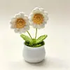 Liquidación, Envío Rápido, Productos Terminados de Venta Caliente Transfronteriza, Adornos de Plantas en Maceta de Hilo Tejido a Crochet Hechos a Mano de Rosas, Margaritas y Lirios, Venta al por Mayor