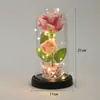 Artículo Popular Transfronterizo: Adorno Acrílico de Flor de Rosa Artificial, Regalo de San Valentín, Soporte de Exhibición de Luz Nocturna, Flor Eterna en Cúpula de Vidrio
