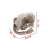 Crânio de Gato Crânio Modelo de Referência Resina Esqueleto Animal Esqueleto Crânio Animal Modelo Crânio de Resina