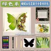 Dia da Mulher Presente de Aniversário Porta-Retrato com Flor Seca Borboleta Kit de Materiais Artesanais DIY Borboleta Pintura a Óleo Flor Eterna 38