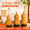 Artesanías y Adornos de Calabaza Natural para Sala de Estar, Decoraciones de Calabaza de Tamaño Grande, Mediano y Pequeño para Decoración Puerta a Puerta, Venta al por Mayor desde el Fabricante