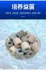 Filtro para acuario con purificación de agua de alta eficiencia, material filtrante cerámico de anillo de fibra de cinco colores, filtración multietapa