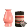 Olla de moxibustión, equipo de moxibustión, moxibustión de belleza, moxibustión de flor de durazno, salón de belleza facial, gua sha, tratamiento facial anti-quemaduras, mayorista fabricante transfronterizo