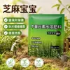 Aumento da produção de gergelim e agente de intumescimento Fertilizante foliar para gergelim Vagens e grãos cheios Bebê de gergelim Aumento da produção e aumento da renda Fertilizante especial para gergelim