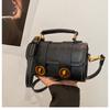 Bolso Pequeño Popular de Celebridad de Internet para Mujer 2025 Nuevo Trendy Ins Textura de Alta Gama Versátil Moda Bolso Cruzado Portátil