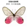 Venta Directa al Por Mayor de Fábrica de Especímenes Reales de Mariposas con Alas Extendidas, Diversos Insectos y Escarabajos, Accesorios para Fotos, Educación Científica, Especímenes Naturales