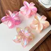 El más vendido en Europa y América, accesorio para el cabello de ABS con moderno color degradado, pinza de flor de plumeria, pinza versátil floral para coleta y pasador para recogido