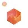 Juguete Hexagonal Fractal Impreso en 3D para Alivio del Estrés Juguete Hexagonal Fidget Fractal Suministro de Fábrica