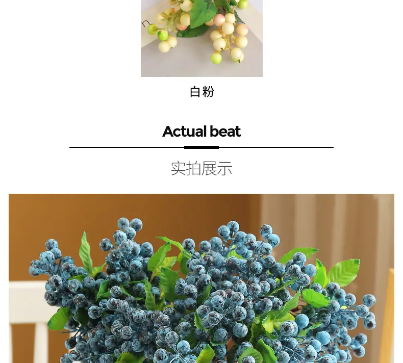 中号浆-果_07.jpg