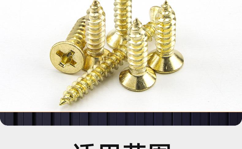 304不锈钢镀金色十字沉头自攻螺丝_03_20.jpg