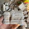 Acuario piedra paisajística roca natural pino tamaño pequeño piedra dragón verde encurtido madera fósil Melaleuca piedra tortuga mayoreo