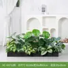 [Série Hc-An7] Caixa de Flores de Planta Verde Simulada Decoração de Sala de Estar Interna Janela de Chão a Teto Paisagismo Fotografia de Casamento Estrada