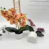 Bonsái Phalaenopsis de Doble Lóbulo Flor 9 Rosquilla Decoración Fotografía de Boda Maceta Arreglo de Patio Exterior Maceta de Flores Artificiales