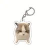 Novo chaveiro de acrílico de gato banana feliz gato feliz transfronteiriço, pingente criativo de gatinho