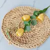 Esquejes de Eucalipto Tulipán Suministro Transfronterizo Arreglo Floral Materiales Florales Accesorios para Fotografía Decoración del Hogar Ins Europa y América