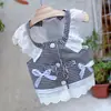 Ropa para Perros y Gatos con Accesorio para Correa, Vestido Estilo Campestre para Cachorros Pequeños, Arnés Delgado de Encaje Teddy Primavera/Verano