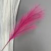Caña de Simulación Artificial Pampas Hierba Cola de Perro Pampas Decoración de Ventana Utilería de Fotografía Boda Hogar Pluma Rosa