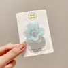 Presilha de Cabelo Fresca e Estilosa, Perfeita para Fotos, para Mulheres, Presilha de Cabelo Borboleta Orquídea, Moderna e Versátil, Acessório de Cabelo de Alto Valor, Presilha Lateral Dopamina