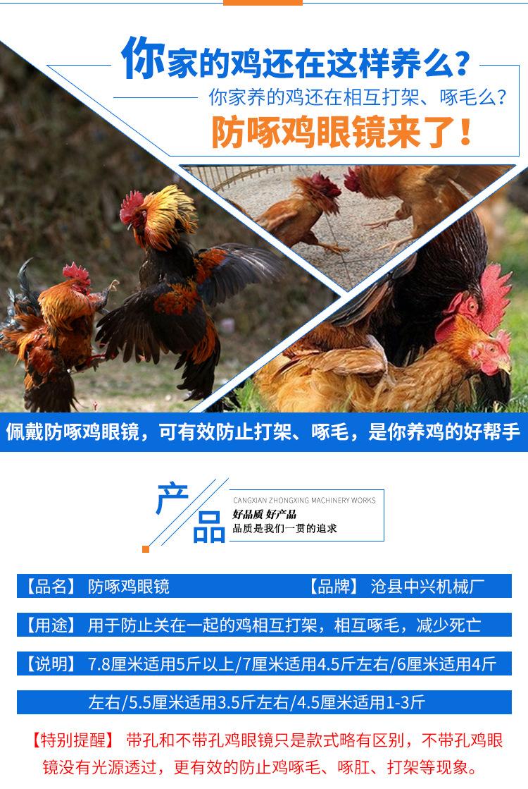 鸡眼镜_02