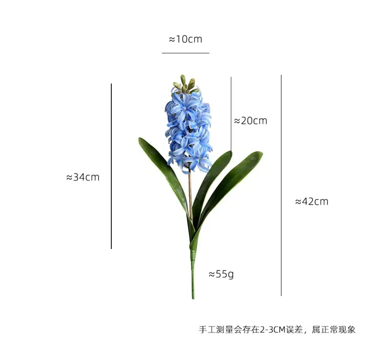 风信子4.jpg