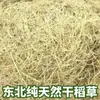 Fibras de Palha Seca Palha de Arroz Construção Antiga Reboco de Cal Decoração Palha Picada Vegetação Terra de Diatomáceas Tinta de Palha Preço