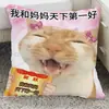 Regalo Cálido de Cumpleaños para el Día de la Madre para Mamá Cojín Decorativo para Sofá de Sala de Estar Almohada de Regalo
