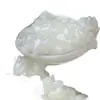 Arroz para Sushi Mijilin Akita Komachi 5kg Arroz Arroz Nuevo Fragante Suave Pegajoso Arroz Aliexpress Mayoreo