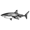 Artículos Populares Transfronterizos: Tigre Oscuro Audaz, Pez, Águila, Marcas de Rasguño de Escorpión, León Animal Pegatinas de Tatuaje Temporal