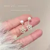 Brincos de Franja de Floco de Neve Prateados para Mulheres, Novo Estilo 2026, Brincos Atmosféricos, Super Bonitos, Brincos Únicos e Lindos