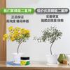 Fosfato Monopotásico, Fertilizante Foliar Multielemento, Fertilizante de Enraizamiento y Floración, Fertilizante de Fósforo, Fertilizante Orgánico Líquido Agrícola, Completamente Soluble en Agua