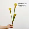 Accesorios para plantas carnívoras con contenido Yang paisajismo floral diseño del hogar material de hoja de goma blanda