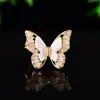 Broche Mariposa Pequeña Estilo Suave Estilo Francés Nácar Natural Anti-Exposición Moda Elegante Versátil Broche Joyería Mayoreo
