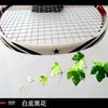 Ventas Directas de Fábrica Pegatinas para la Cabeza de la Raqueta de Bádminton para Proteger las Cuerdas de Plumas, Pegatinas de Marco Protectoras de Cuerda Resistentes al Desgaste para Prevenir el Descascarillado de la Pintura, el Desgaste y la Rotura