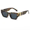 Gafas de Sol Irregulares Estilo Ojo de Gato Modelo Nuevo 2026, Mismo Estilo que Celebridades de Internet Europeas y Americanas, Gafas de Sol Retro para Mujer, Gafas de Sol de Moda