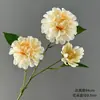 Palco de casamento de 24 anos paisagismo cor champanhe teto bonito flor de simulação Chen adereços de fotografia de hotel flor artificial