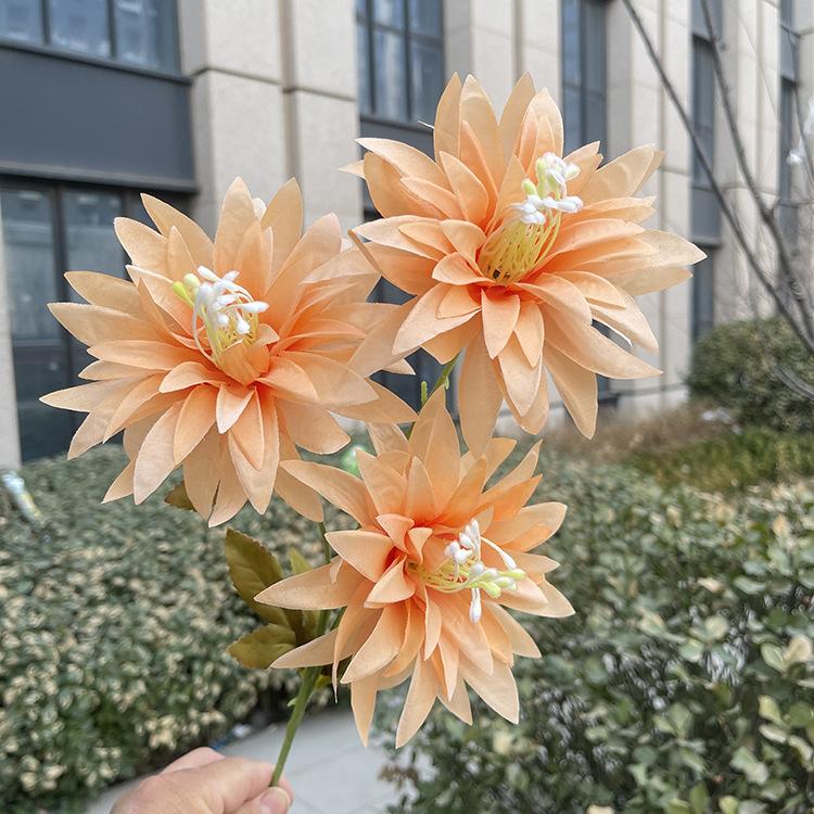新3头大爪菊-sxftx-浅桔.JPG