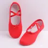 Sapatos de Dança Atacado Feminino Solado Macio Sapatilhas de Ballet Infantil Profissional Adulto Sapatos de Prática Interna Sapatos de Dança Garra de Gato para Yoga