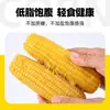 2025 Mazorcas de Maíz Pegajoso del Noreste Maíz Amarillo Empacado al Vacío para Desayuno Recién Cogido Maíz Dulce al Vapor Maíz Pegajoso Envío Gratis