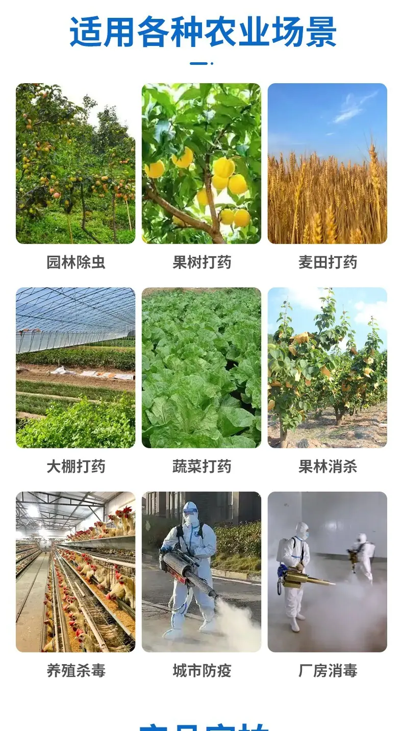 详情开版1(7)_008.jpg
