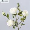 Flor de simulación, rosa de París, decoración para el hogar, sala de estar, diseño de fotografía de boda, flor de seda, flor falsa, rosa al por mayor