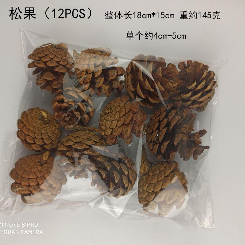 松果.jpg