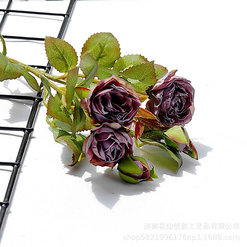 多头复古小蔷薇