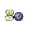 Arándanos de Yunnan Fruta Fresca con Aroma Floral, Fruta Especial de Temporada Fresca, Caja Completa, No Incluye Caja de Regalo Sf Express/Jd