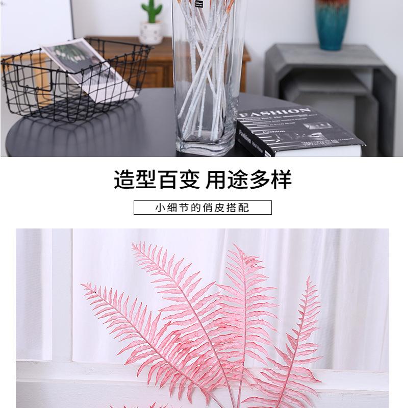 5叉波斯叶_02.jpg