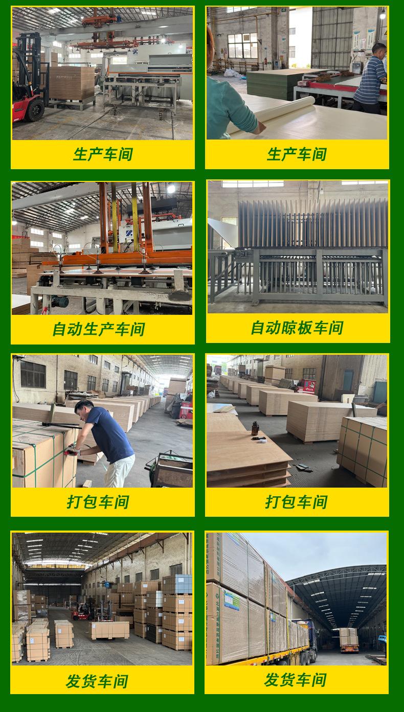 公司简介目录2025年_05