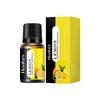 Aceite Esencial Aromaterapia Soluble en Agua Transfronterizo 10ml Humidificador de Plantas Naturales Perfume Fragancia Aceite Esencial Recarga Venta al por Mayor